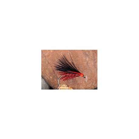 Pseudo Corm Claret