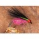 Pseudo Corm Flourescent Pink