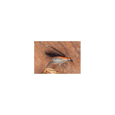 Pseudo Corm Grey