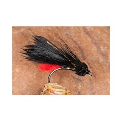 Zulu warrior