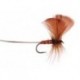 Brown Drake W