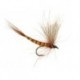 Brown May CDC