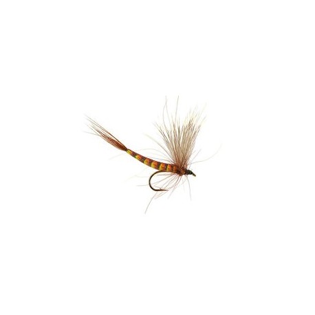 Brown May CDC