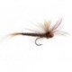 Brown May Fly