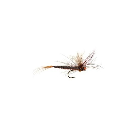 Brown May Fly
