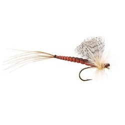 Brown May Fly Classic
