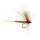 CDC Brown