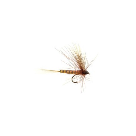 CDC Brown