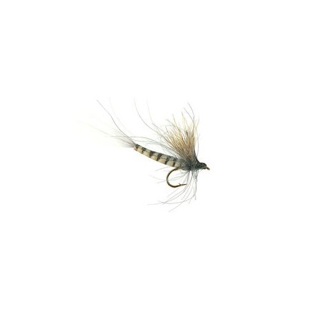 CDC Grey
