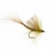 CDC Olive