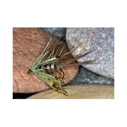 CDC mayfly