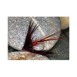 Claret mayfly