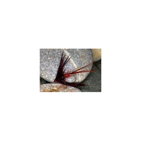 Claret mayfly