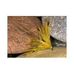 Corrib yellow