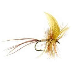 Cream Yellow Quill Mayfly