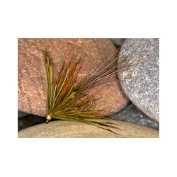Flaming may olive