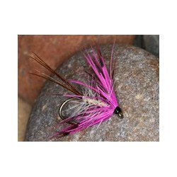 Fp pink
