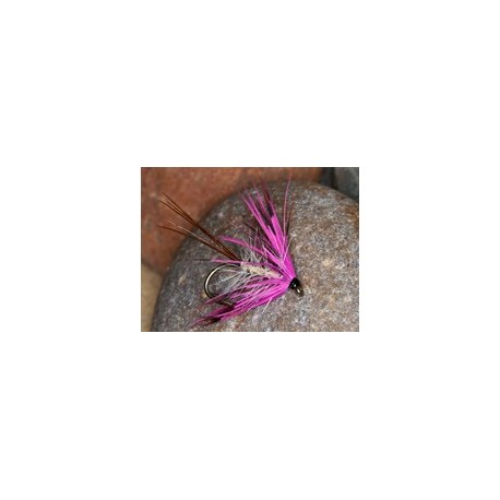Fp pink