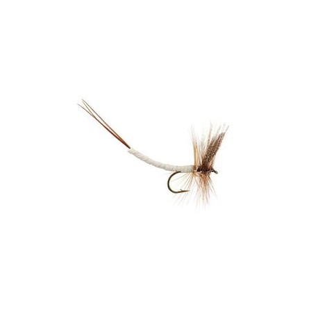 Gray Fox Extended Body Mayfly