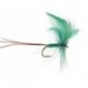 Green Drake