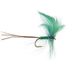 Green Drake