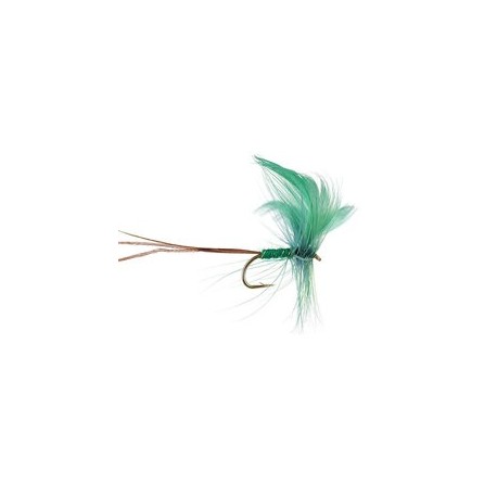 Green Drake