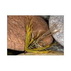 Green mayfly