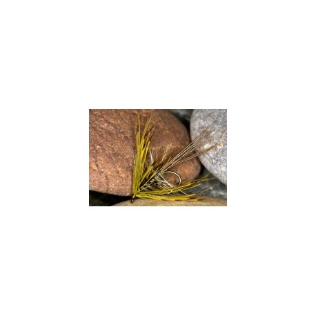 Green mayfly