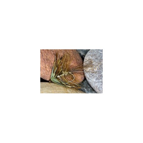 Green mayfly