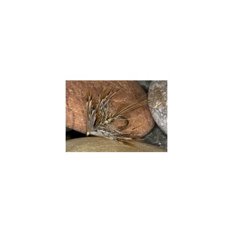Grey corrib