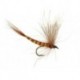 Mayflies Are the Symbol Par