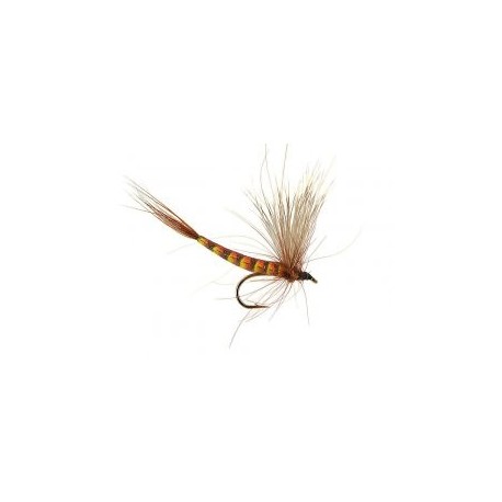 Mayflies Are the Symbol Par