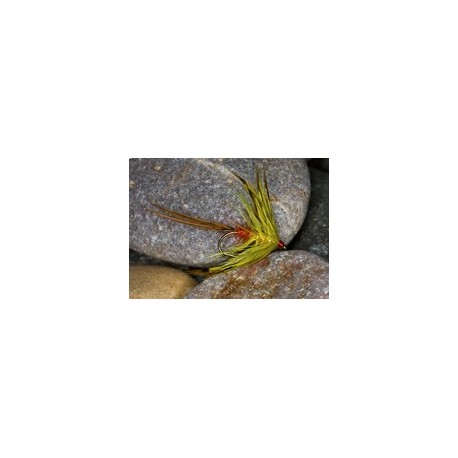 Mcgowans Mayfly