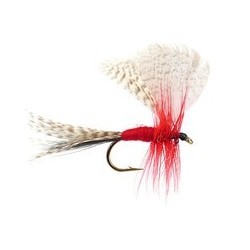 Montreal Mayfly Dun