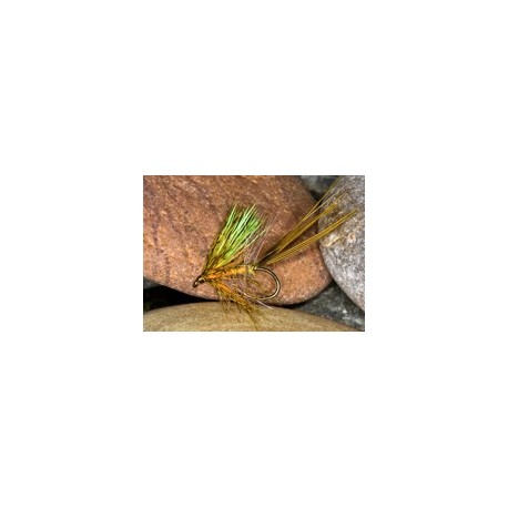 Munns emerging may