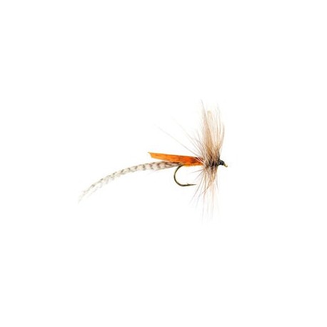Orange Mayfly