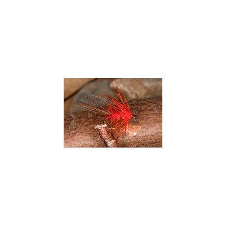 Orange mayfly