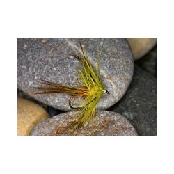 Picric Mayfly
