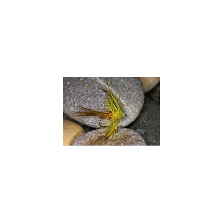Picric Mayfly
