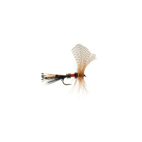 Royal Fan Wing Mayfly