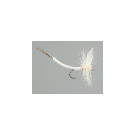 White Extended Body Mayfly