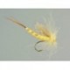 Yellow Danica