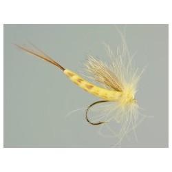 Yellow Danica