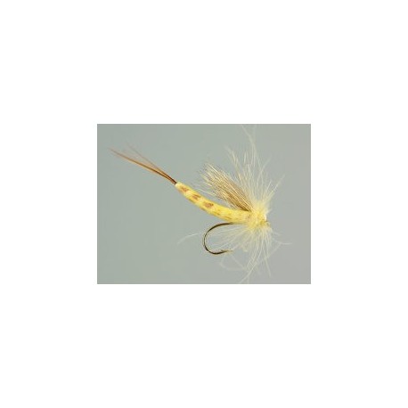 Yellow Danica