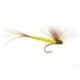Yellow May Fly