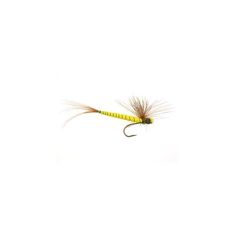 Yellow May Fly