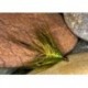 Yellow green gosling