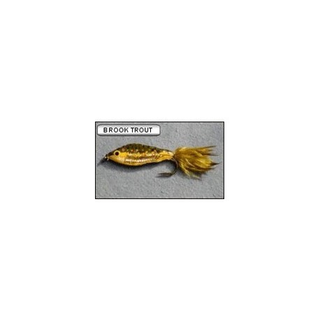 Brook Trout