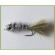 Little Bright Minnow