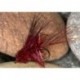 Claret Muddler